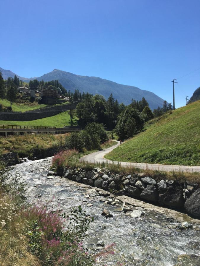 Il Piccolo Rifugio - Casa Valtournenche Apartment Luaran gambar
